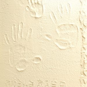 自然のチカラで心地よい家をつくる。