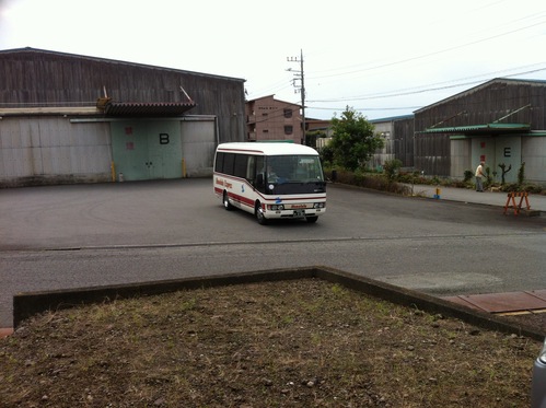 擬態