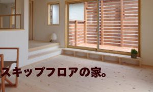 左官屋さんの職人技が映える家