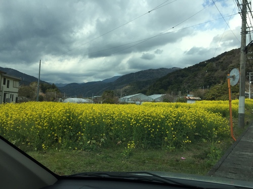 印象的な看板