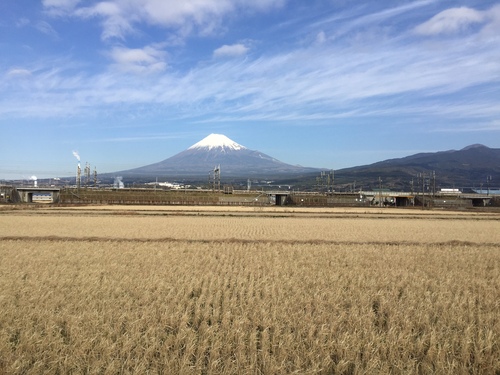 今年もよろしくお願いします