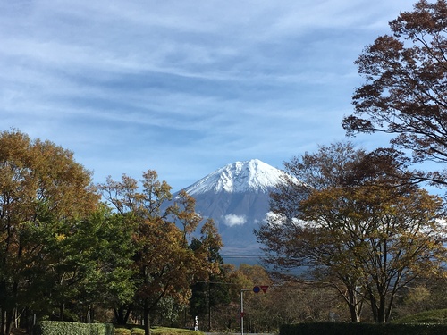 紅葉と富士山のベストマッチ