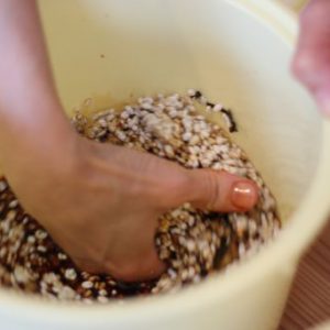 富士市で発酵食