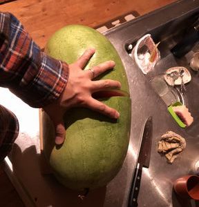 富士市でとれる材料で家づくりする会社