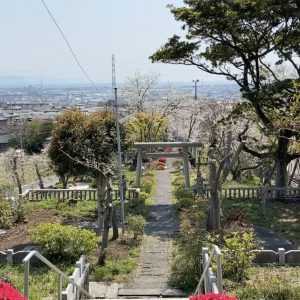 木の宮神社、木の家ロハス