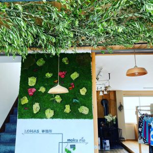 青々としたオリーブを飾る、富士市工務店