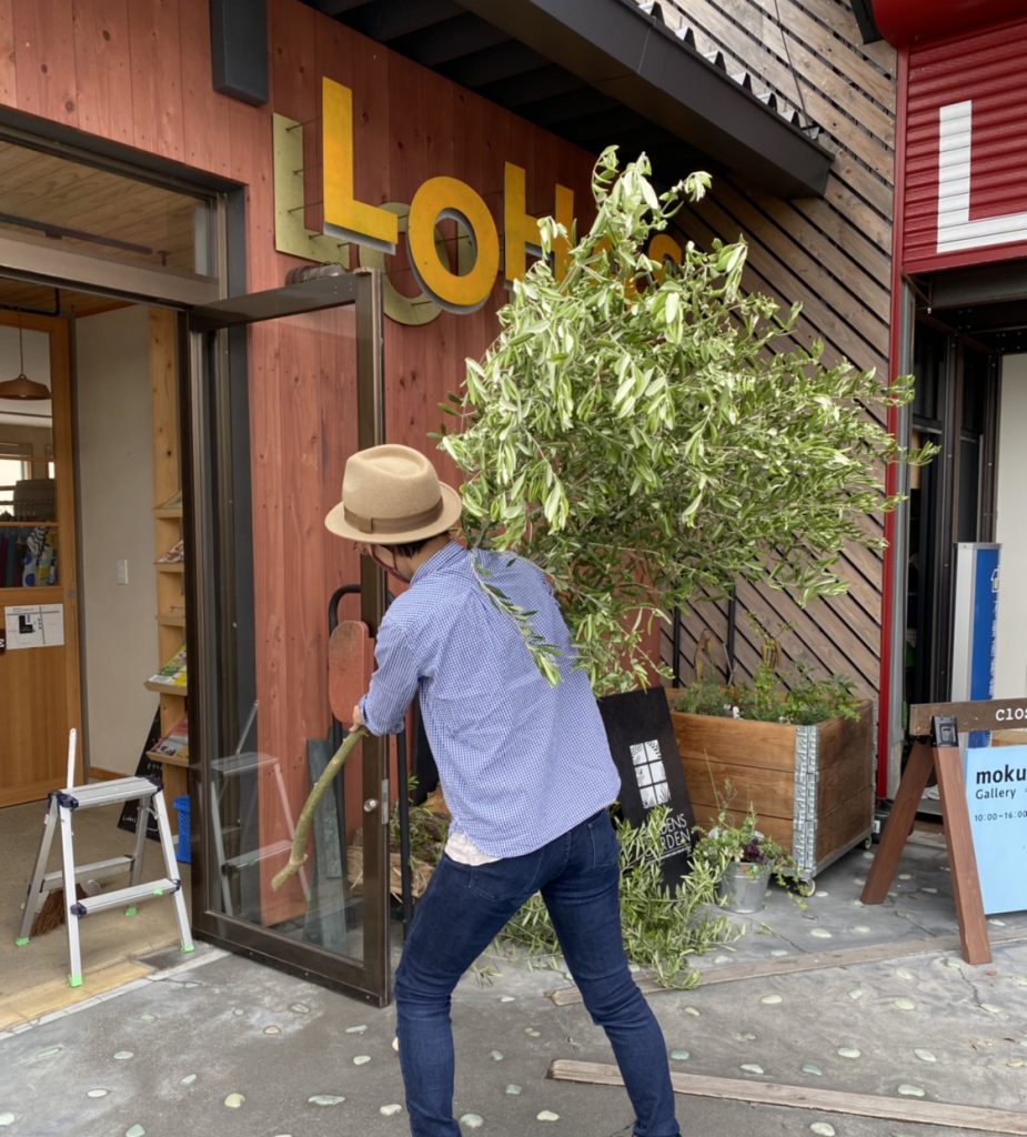 オリーブを入り口に飾る富士市工務店