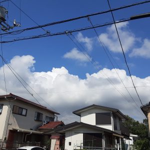 久しぶりの晴れ間