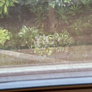 雨の日の過ごし方