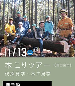 木こりツアー
