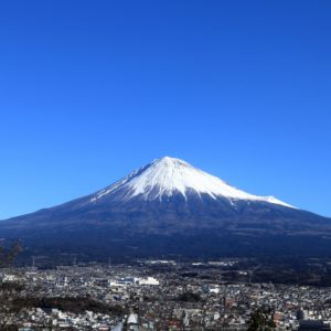【共働き子育て第1位】静岡市で平屋を建てるメリットとは？富士市の工務店が解説します