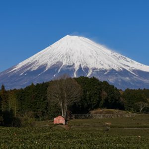 富士宮市の住みやすさとは？街の魅力や移住・子育て支援など富士市の工務店がご紹介します