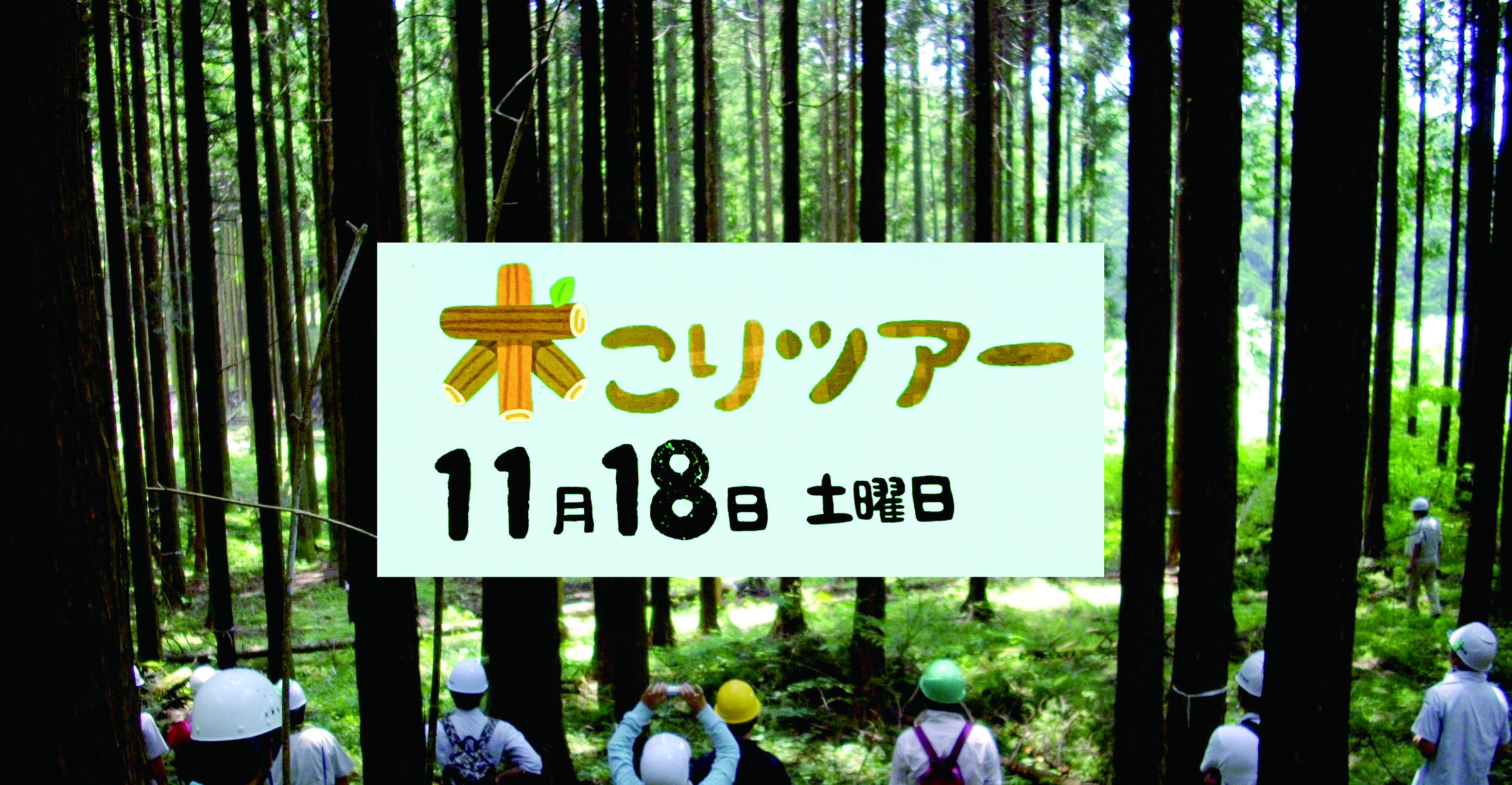 木こりツアー