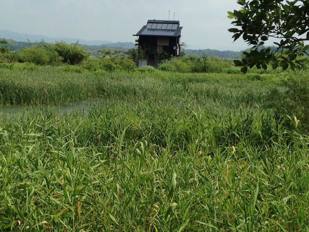 浜名湖畔の植生を活かした風景に立つVOLKS HOUSE