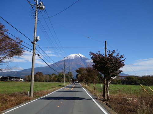 秋晴れを背景に富士山が綺麗でしたね。